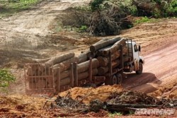 Greenpeace Amazzonia1 e1307310287615 Amazzonia, la mafia del legno uccide ancora