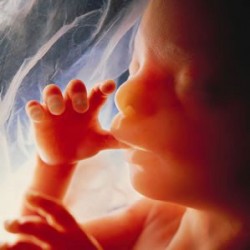 Aborti illegali, la selezione dei bambini nati in Inghilterra